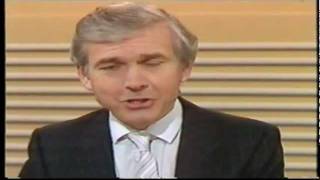 The Cabbage Patch Kid Riots