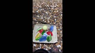 Thrilling colorful stone excavation, don’t miss it!
