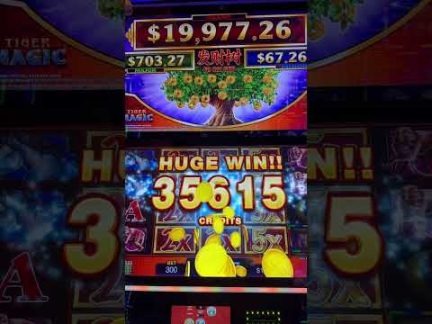 MASSIVE BIG WIN 3 ROWS OF MULTIPLIERS  #casino #massivewin #casinogame #bigwin #hugewin #slotmachine