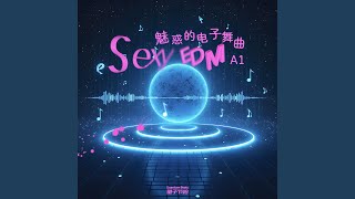 魅惑的电子舞曲-Sexy EDM A1 5781