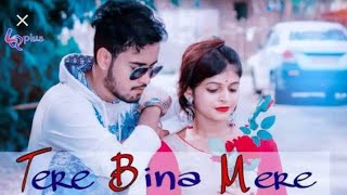 Tere Bina Mere Sanam Mera Jeena Mumkin nahin hai dj rimix song 2020