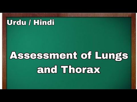 Assessment of Thorax And Lungs | Nursing Lecturer | Urdu and Hindi ...