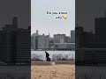 Why Manhattan Suddenly Has No Skyscrapers Here?