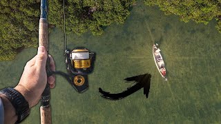 Pesca de Robalo | Pesca de ROBALOS GRANDES com CAMARÃO ARTIFICIAL!!!