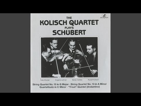 String Quartet No. 12 in C Minor, D. 703, "Quartettsatz": I. Allegro assai