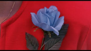 Twin Peaks Fire Walk With Me (1992) - Blue Rose