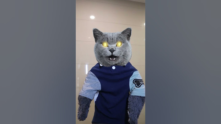 Who Can Say No To Money Spray Guns?😍💵#funnycat #funnyeffects #funnyprank