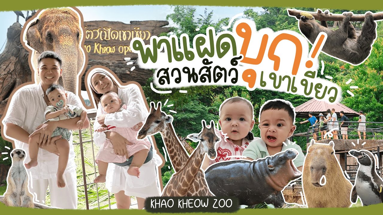 พาแฝดบุก!สวนสัตว์เขาเขียว  l MayZack Channel