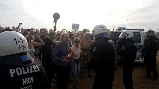 Немецкие экологи виснут на деревьях Немецкие экологи виснут на деревьях