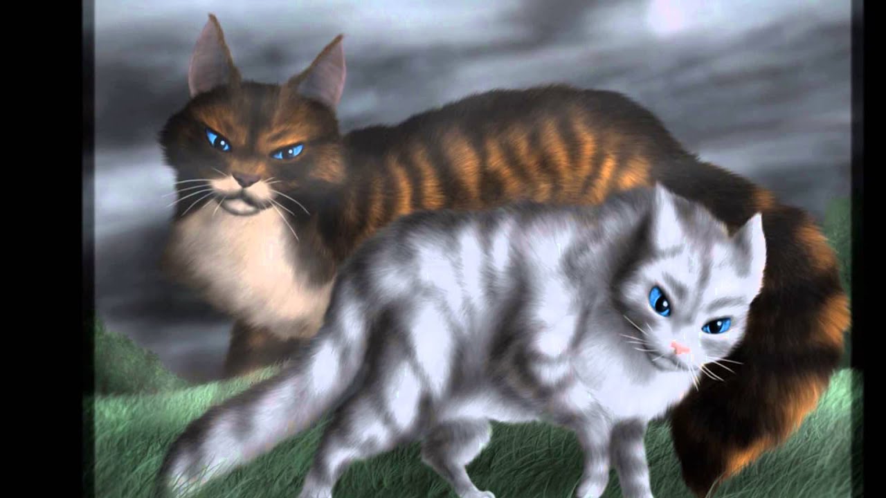 Top 10 Warrior Cat Couples Plus Their Theme Songs - YouTube.