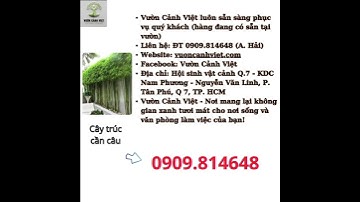 Cây trúc cần câu