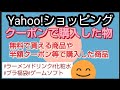 【クーポン対策】【Yahoo!ショッピング】無料商品や半額クーポンなどで購入した商品紹介 何に使うか迷うので参考に 豚骨ラーメン お茶ソフトドリンク ブラ福袋 化粧水 ゲームソフト