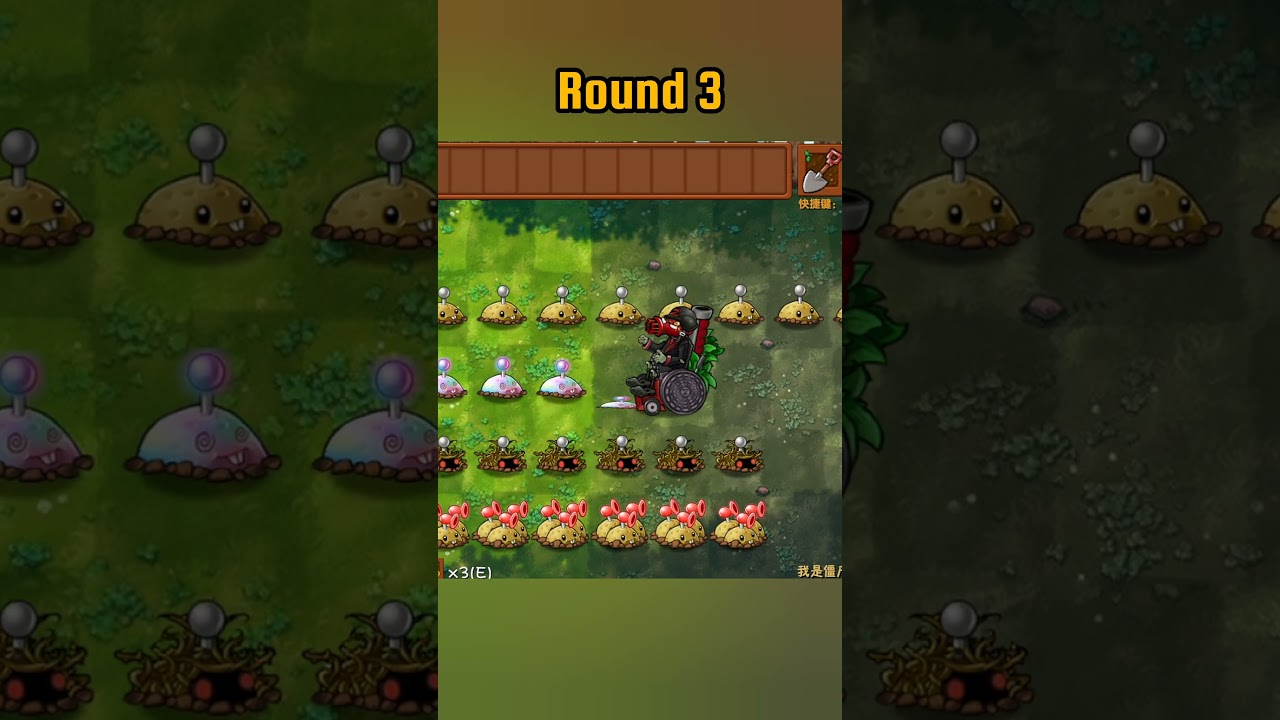 mine family vs professor Z 