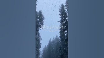﴿ قُلْ كَفَىٰ بِاللَّهِ بَيْنِي وَبَيْنَكُمْ شَهِيدًا ﴾[ العنكبوت: 52] #القارئ عبدالرحمن_ مسعد#✨❤️