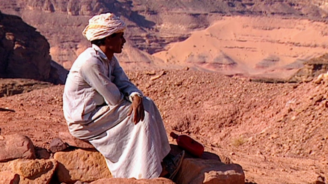 Египет | Странная Синайская пустыня