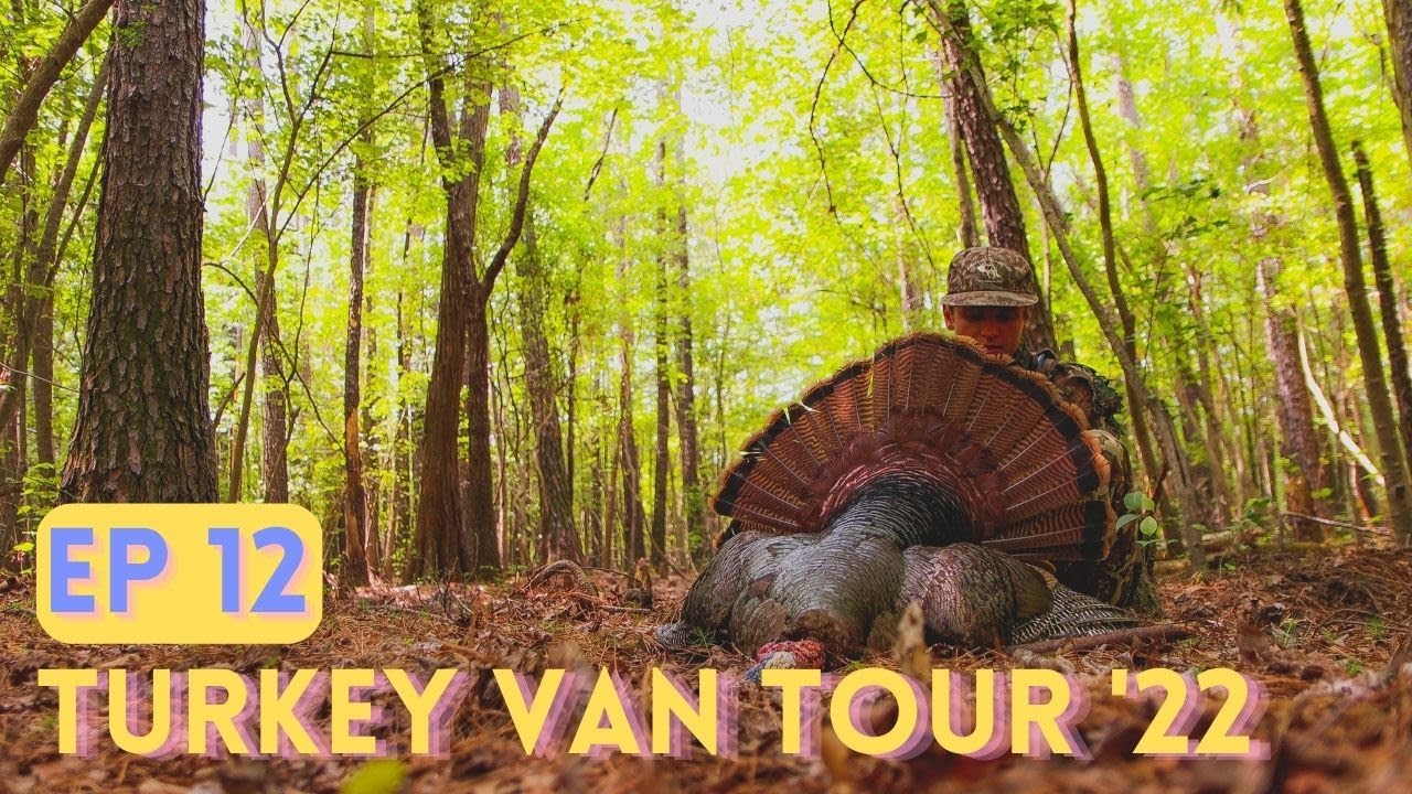 STAYING With A SPOOKED GOBBLER TAGGED OUT in NORTH CAROLINA Public