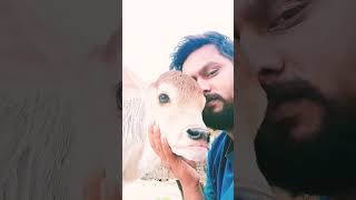 Tu Ful He bollywood song hindisong oldsong oldisgold oldshort