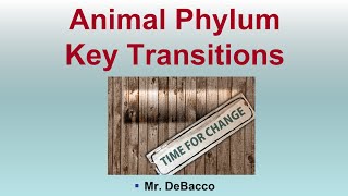Animal Phylum Key Transitions