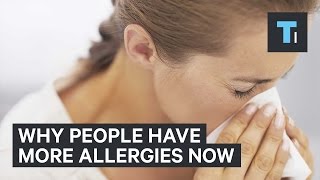 Why people have more allergies now
