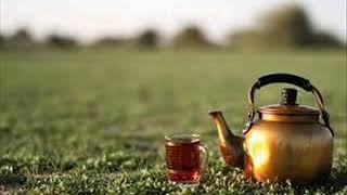 اشتغالة الصعيدى والموظف الجدى بلع الخاتم ههههههه 8 6 2014   YouTube