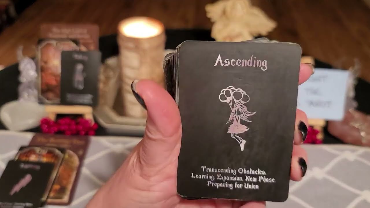 This overly confident warlock met their match.They went against their Twin Flame & got a beat down✨️