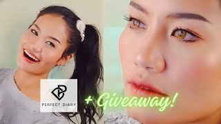 One Brand Full Face Perfect Diary Makeup Tutorial + Giveaway | Makeup by Pierre Jean screenshot 3