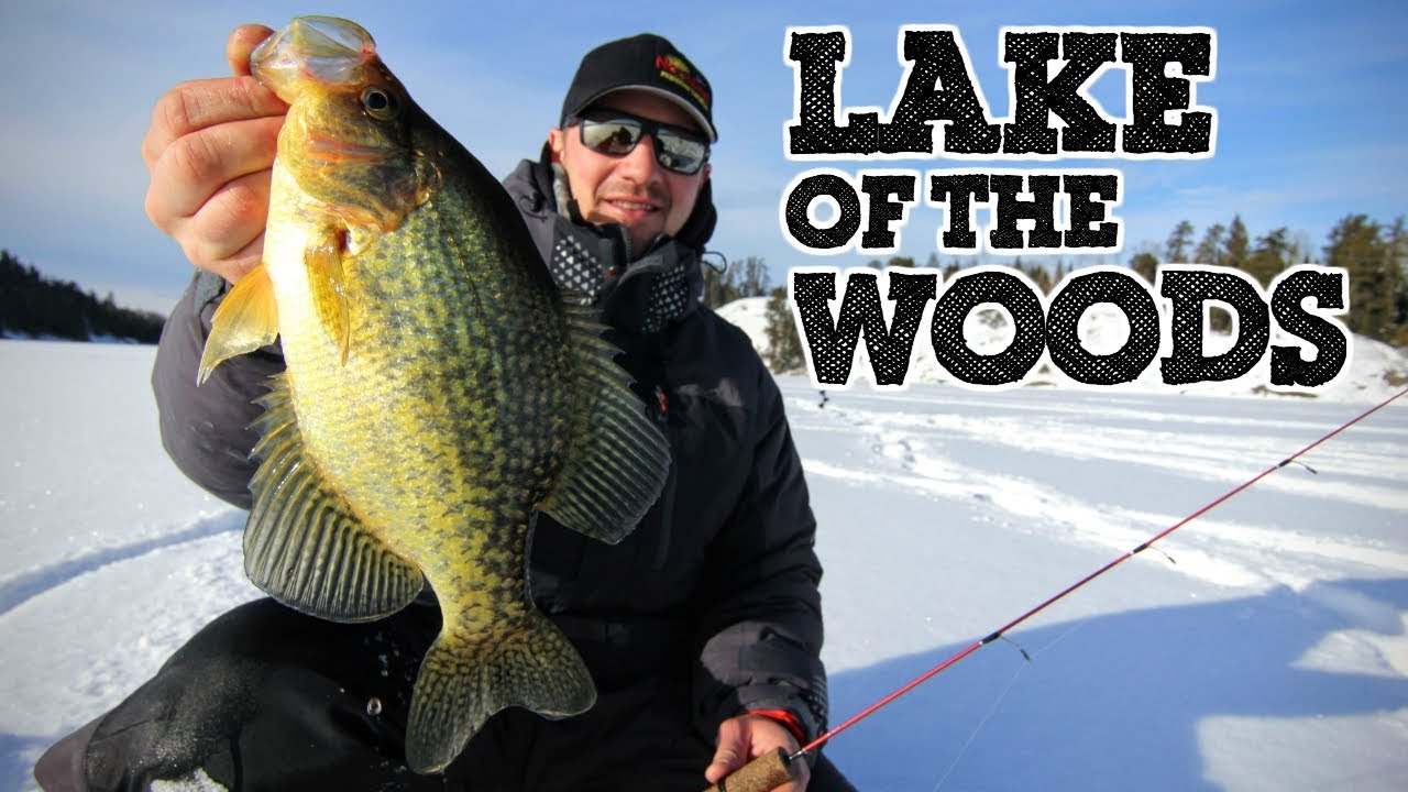 Crappie, Walleye & JUMBO PERCH??? 😮 (Lake of the Woods)