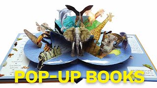 Pop-Up Book Process
