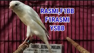 Download Lagu BELI 2 BONUS 1 KENARI F1RASMI, F2SF, RASMIINDO DAN BETINA SIAPAN TERNAK  MP3