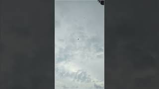 Layangan Apa Yang Paling viral tiktok