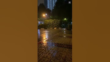 تلاوة خاشعة للشيخ ياسر الدوسري 🌹