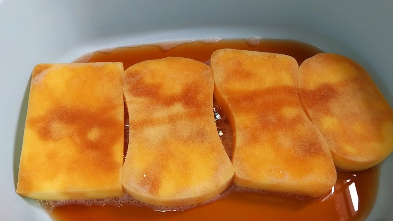 [ASMR] Leo Pine with different Shape of Sponge