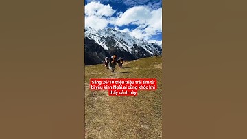 sáng 26/10 triệu triệu trái tim từ bi yêu kính Ngài,ai cũng khóc#suminhtue #shortvideo