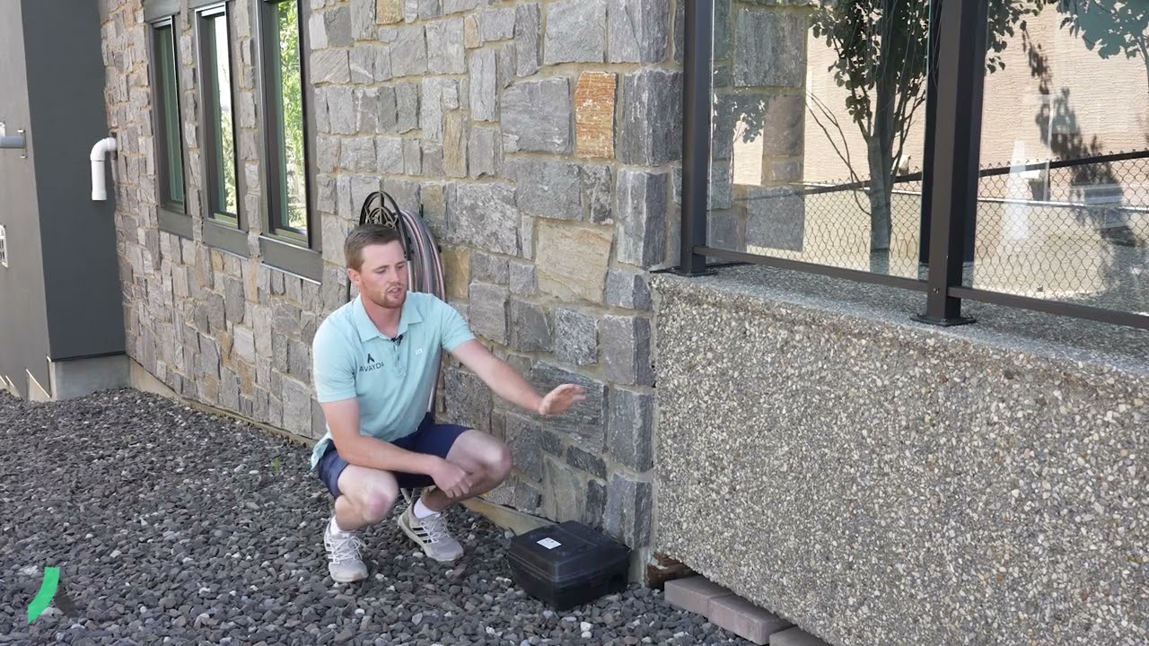 Welcome to Avayda Pest Control