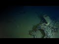 Caladan oceanic explores la minerve wreck site pt 2