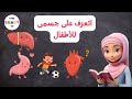 أعضاء جسم الإنسان للأطفال