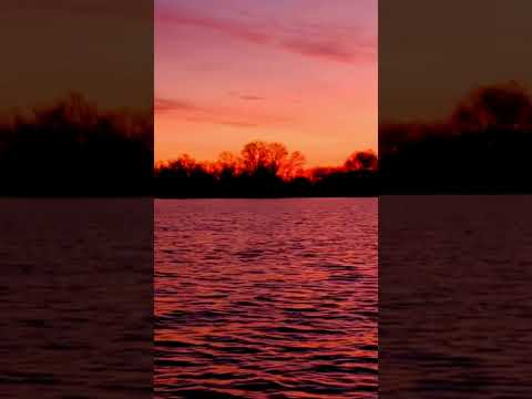 لماذا يظهر البحر الأحمر باللون الأحمر