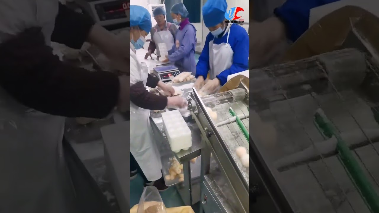 Mochi Ice Cream Production Line