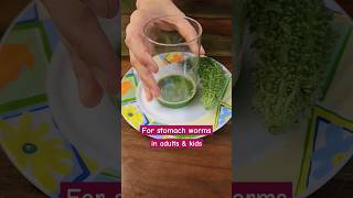 Natural remedy for stomach (intestinal) worms #shorts