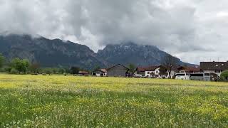 IMG 0456