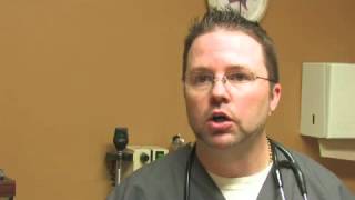 How To Prevent Motion Sickness In Dogs