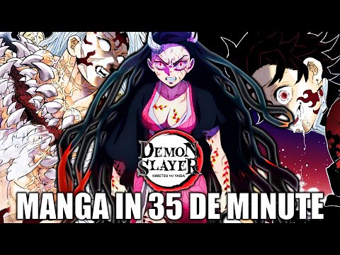 Video: Demon Slayer s-a terminat?