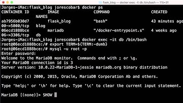 Using Docker with a Flask Application - Setting Up DB (9/10)