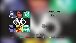 Evo - Amalia (Official Audio)