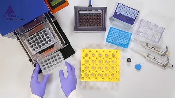 How to separate TILs with the MultiMACS Cell24 Separator