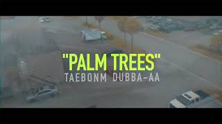 Taebonm Palm Trees Ft Dubba-Aa Official Video