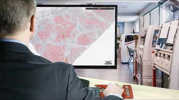 Pathology AI (simple demo)