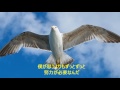 槇原敬之 理由 ドラマ はじめまして愛してます 主題歌 歌詞付き By Canaan Canaan