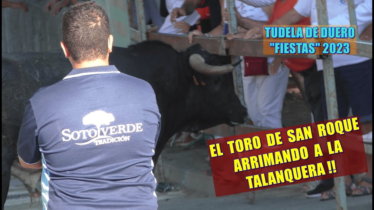 Tudela de Duero (Va). "Toro de San Roque" + Encierro, "Fiestas" 16/8/2023