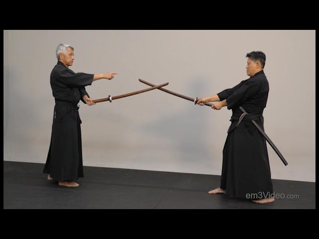 神道夢想流杖術 其之二 Shinto muso-ryu jojutsu PART2 budo - YouTube